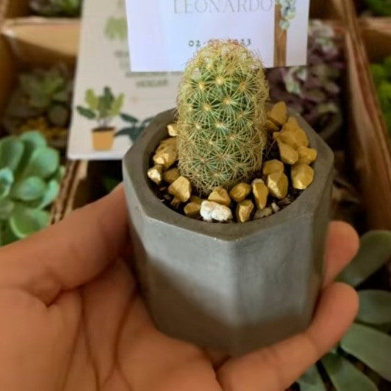 Κασπώ "Octagon" - ΓΚΡΙ/ΛΕΥΚΟ (terrazzo16)