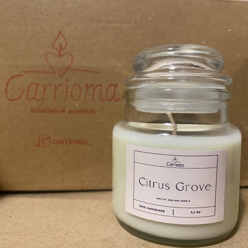 Αρωματικό κερί σόγιας 80gr (17 επιλογές αρώματος)