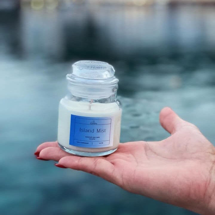 Αρωματικό κερί σόγιας 80gr (17 επιλογές αρώματος)