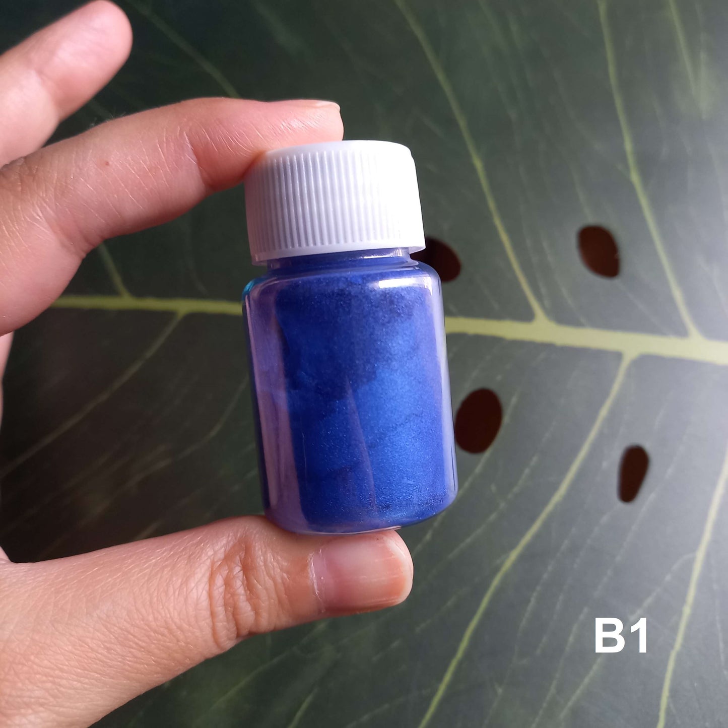 (LG): Χρώματα για ρητίνη (mica powder)