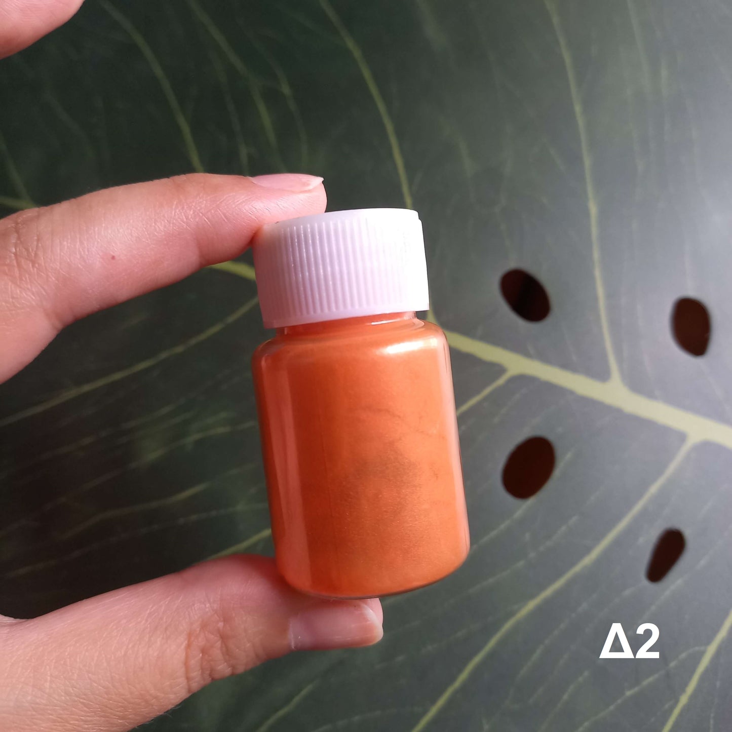 (LG): Χρώματα για ρητίνη (mica powder)