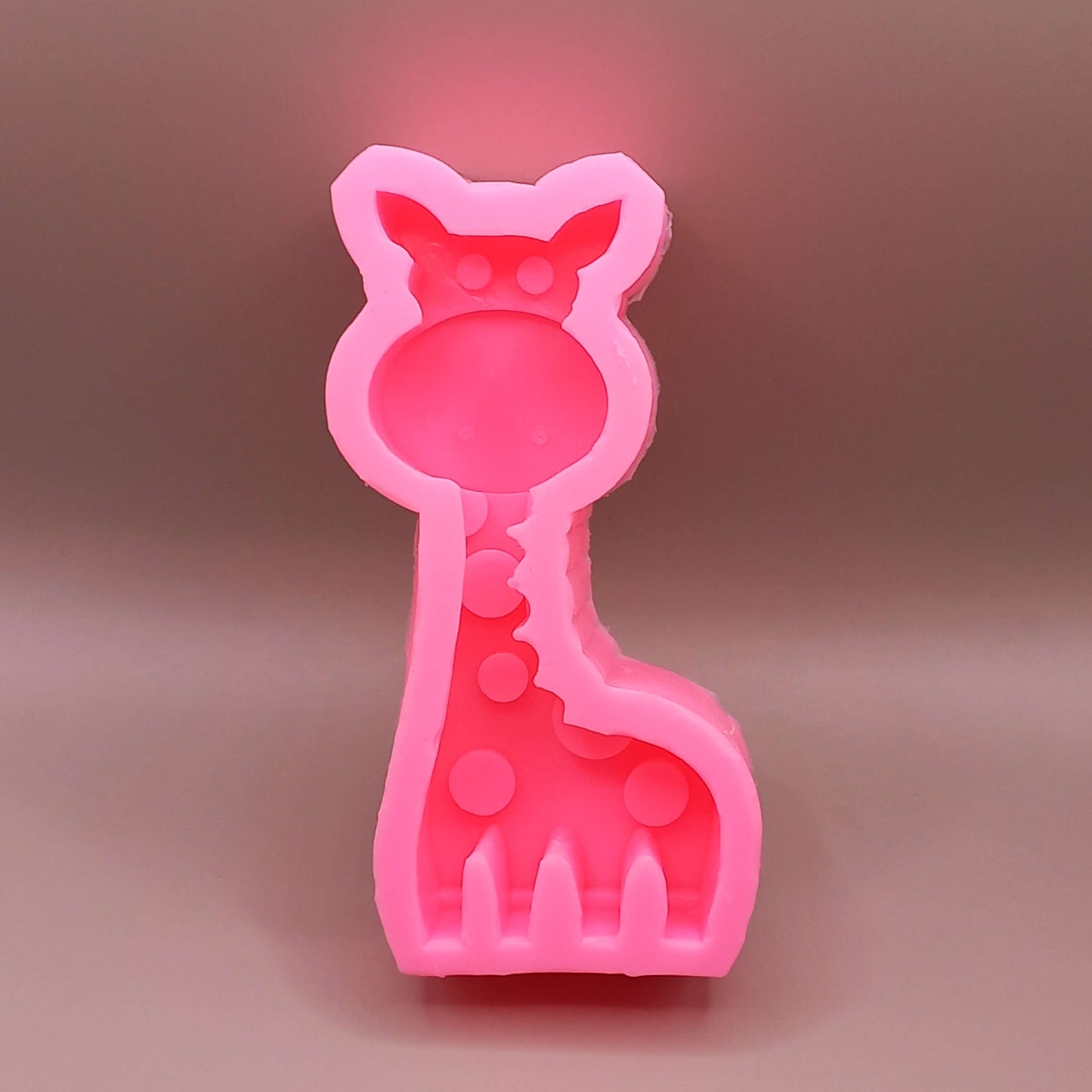 (MO): Καμηλοπάρδαλη