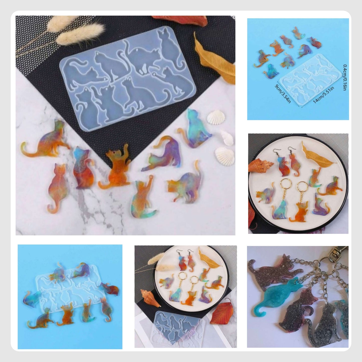 (MO): Καρτέλα Γάτες