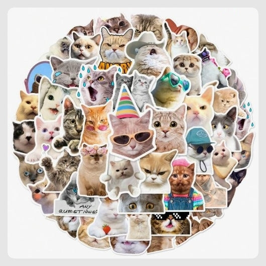 (ST) Αυτοκόλλητα "Funny Cats" (25τμχ)