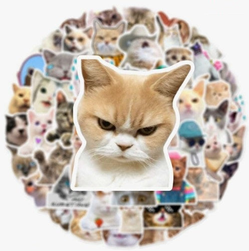 (ST) Αυτοκόλλητα "Funny Cats" (25τμχ)