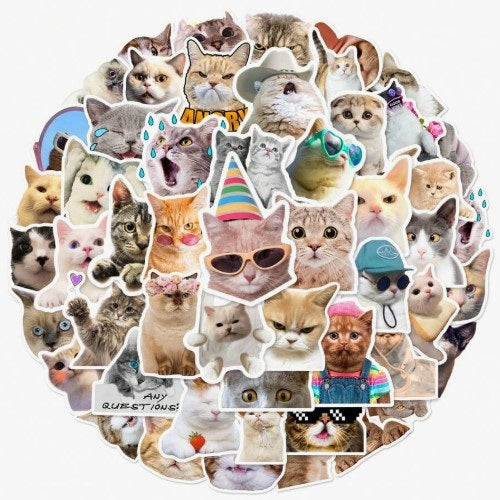 (ST) Αυτοκόλλητα "Funny Cats" (25τμχ)