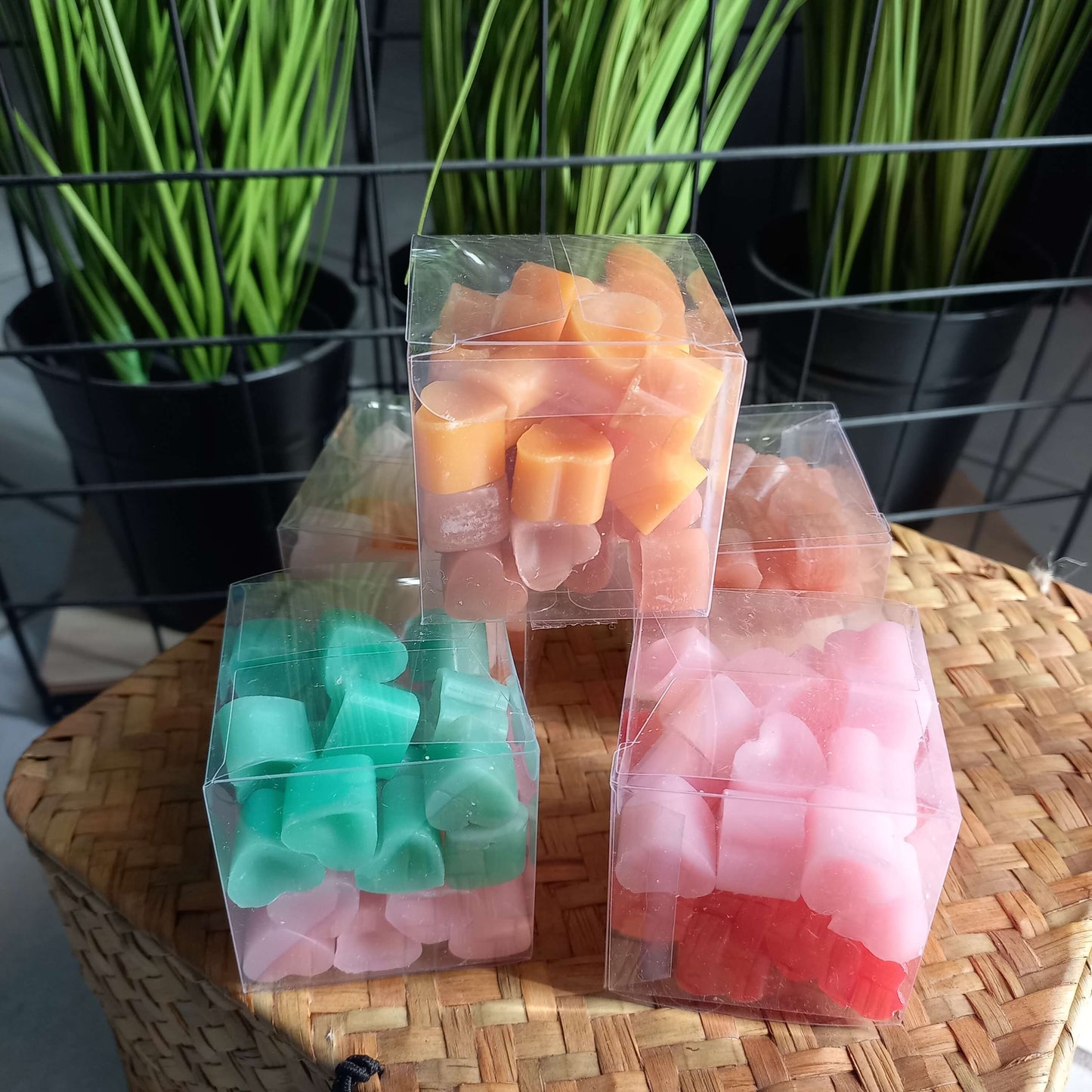 Wax Boxes (6 συνδυασμοί αρωμάτων)