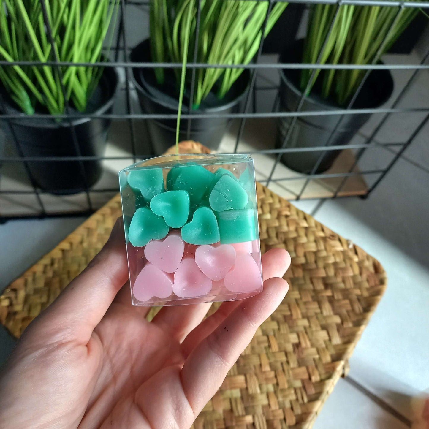 Wax Boxes (6 συνδυασμοί αρωμάτων)