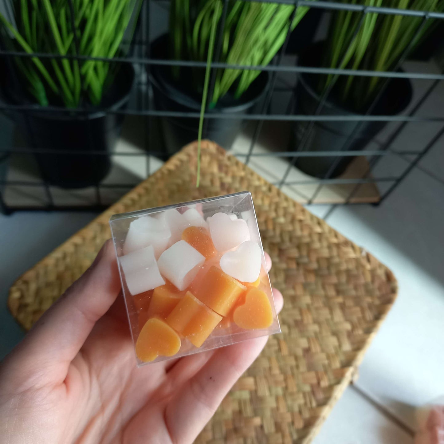 Wax Boxes (6 συνδυασμοί αρωμάτων)