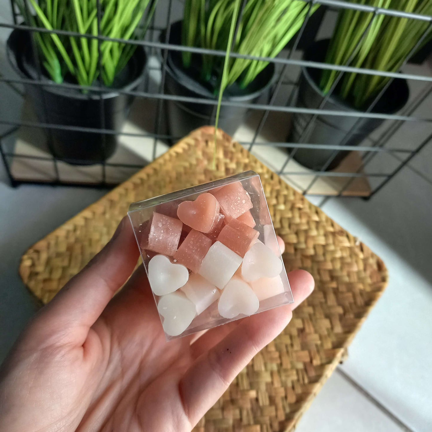 Wax Boxes (6 συνδυασμοί αρωμάτων)