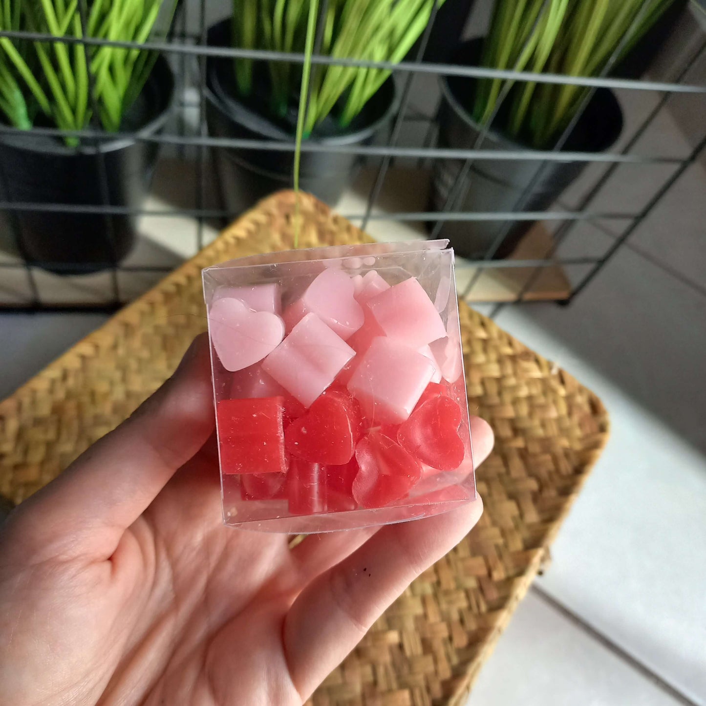 Wax Boxes (6 συνδυασμοί αρωμάτων)