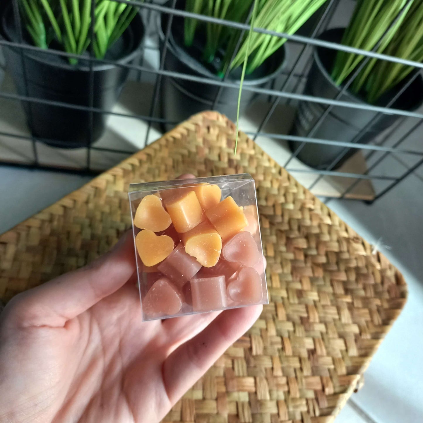 Wax Boxes (6 συνδυασμοί αρωμάτων)